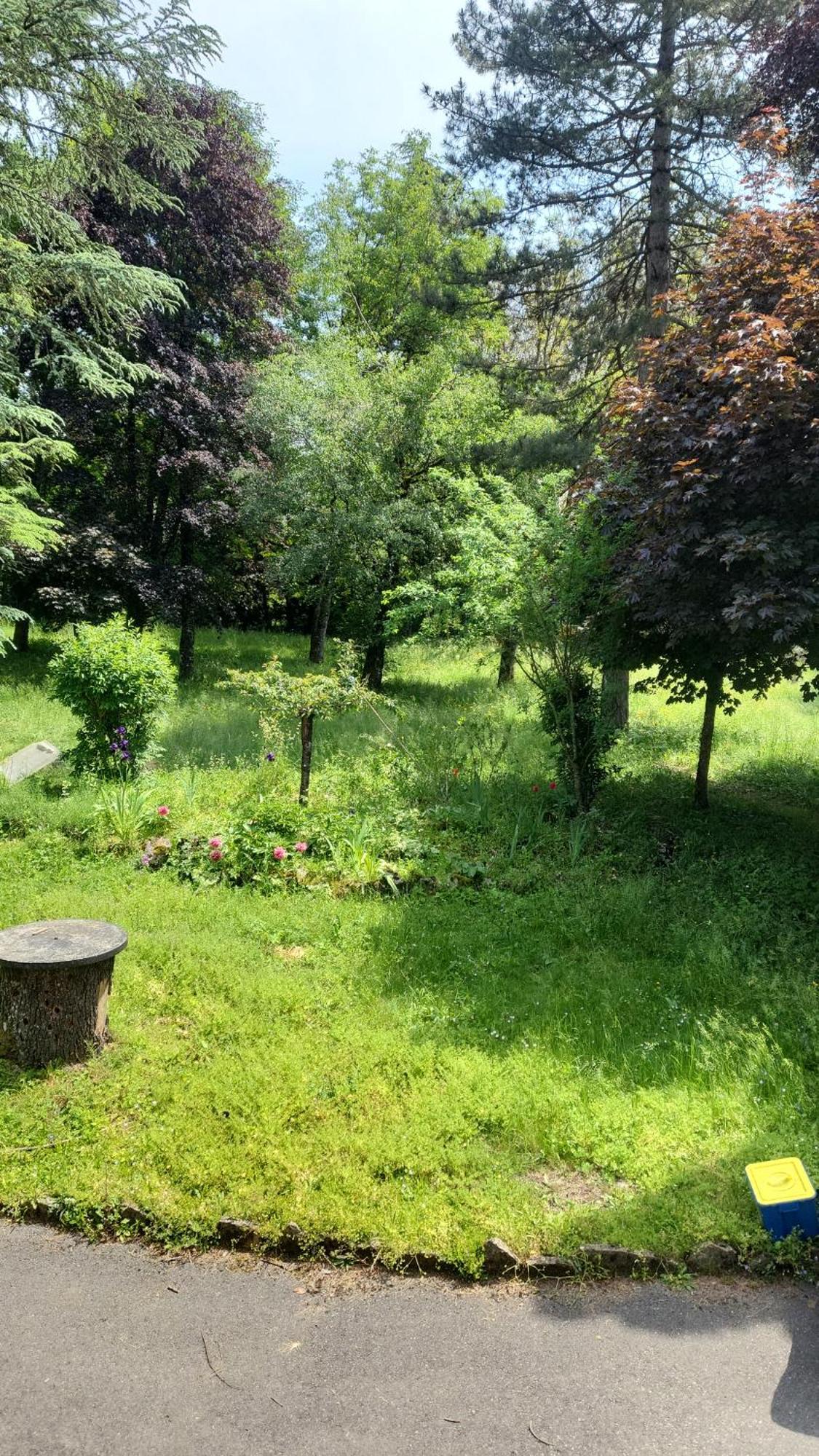 Goutanou Chambre 3 Chatillon-en-Michaille ภายนอก รูปภาพ
