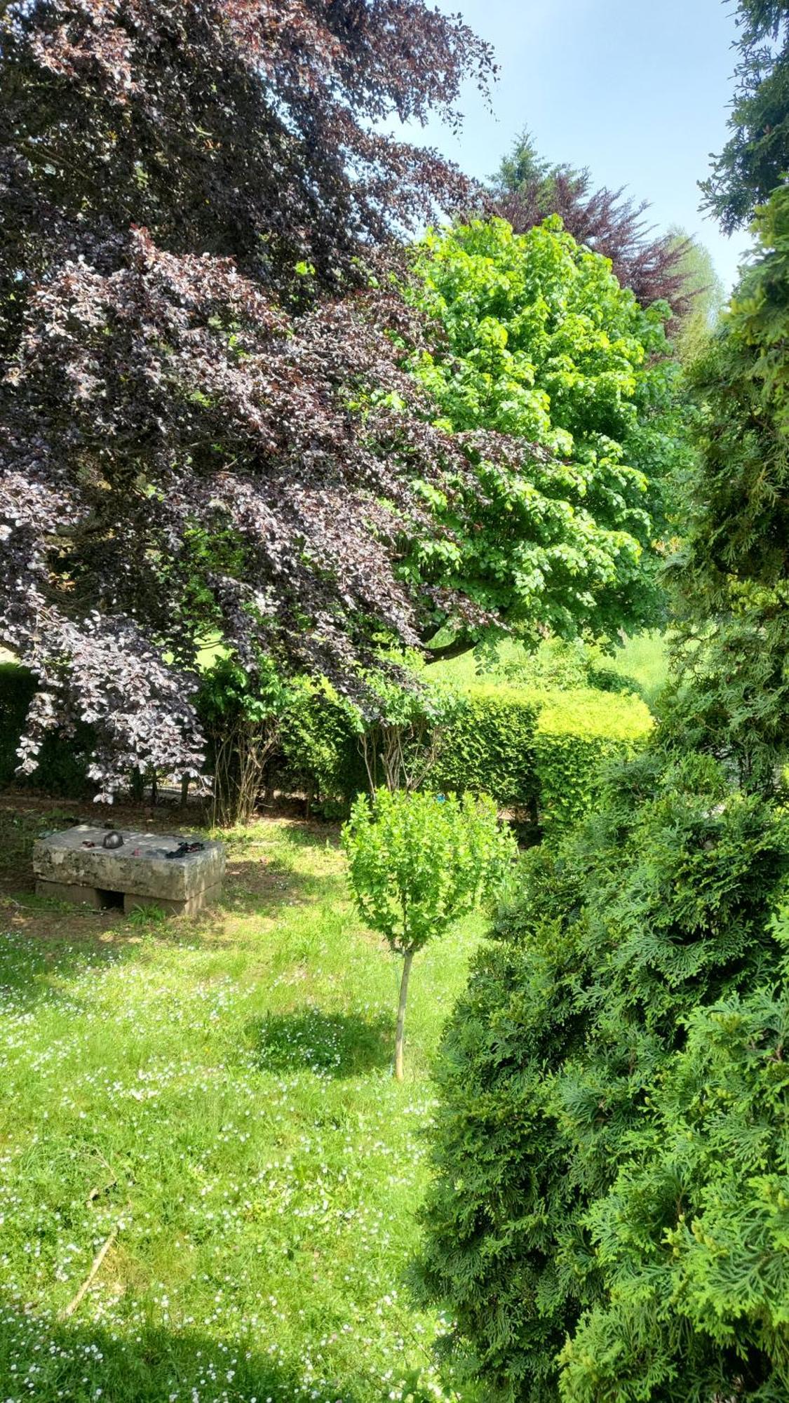 Goutanou Chambre 3 Chatillon-en-Michaille ภายนอก รูปภาพ